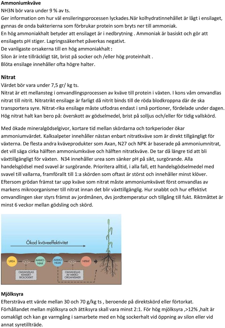 Ammoniak är basiskt och gör att ensilagets ph stiger. Lagringssäkerhet påverkas negativt.