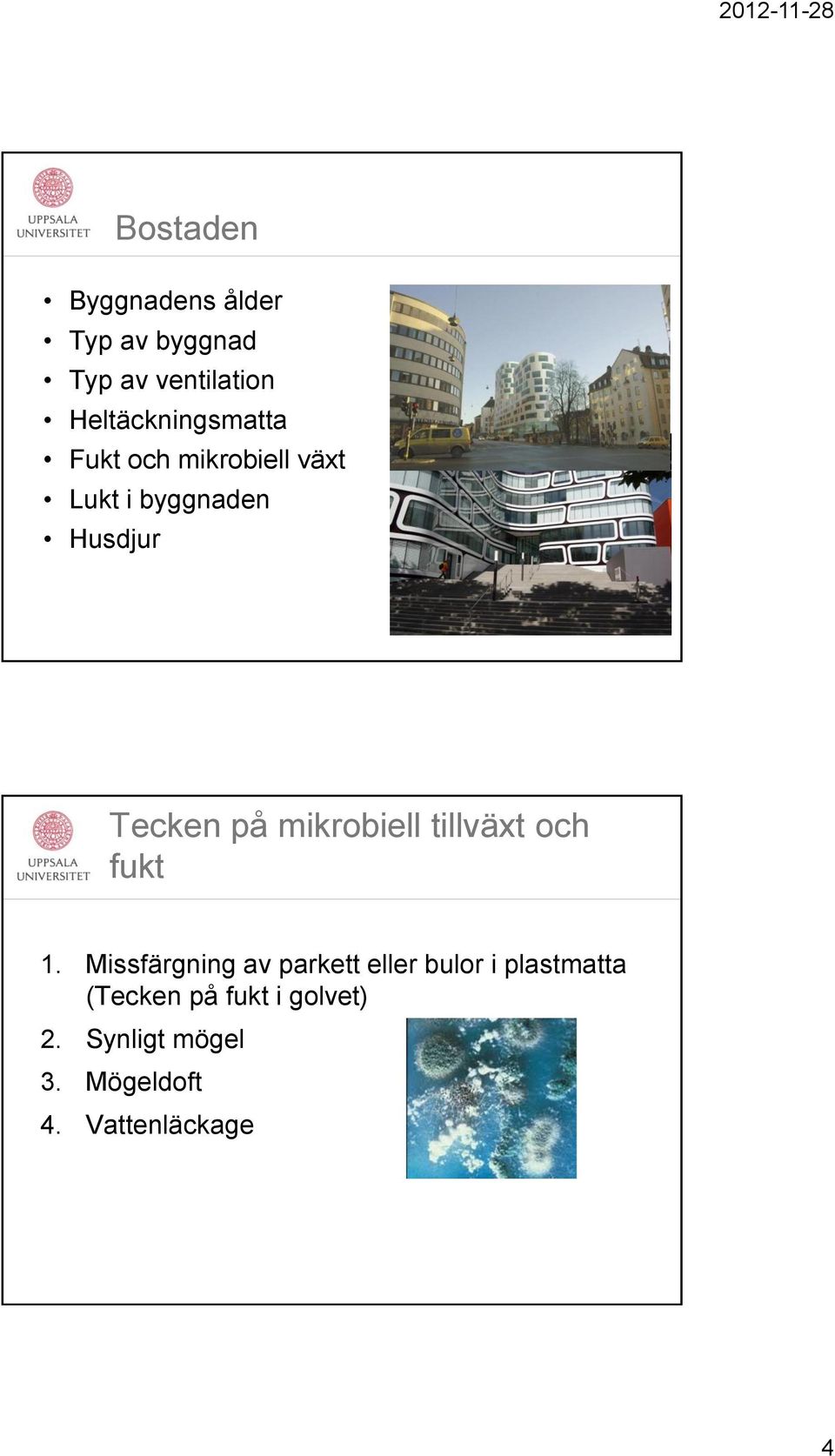 Tecken på mikrobiell tillväxt och fukt 1.