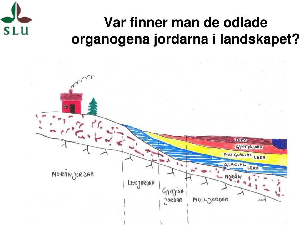 organogena jordarna