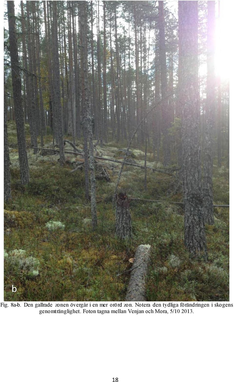 zon. Notera den tydliga förändringen i