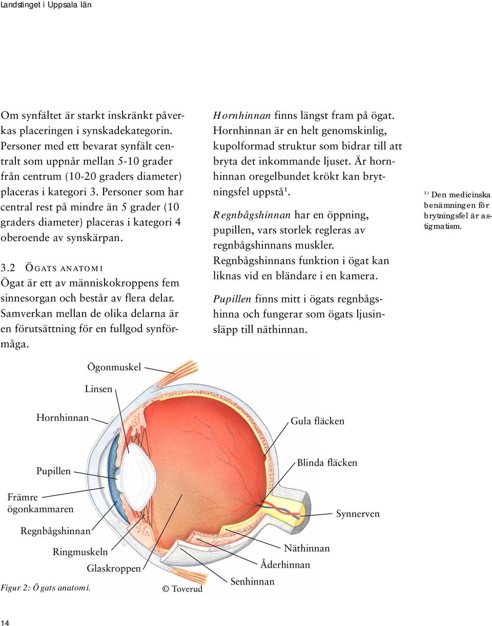 Personer som har central rest på mindre än 5 grader (10 graders diameter) placeras i kategori 4 oberoende av synskärpan. 3.