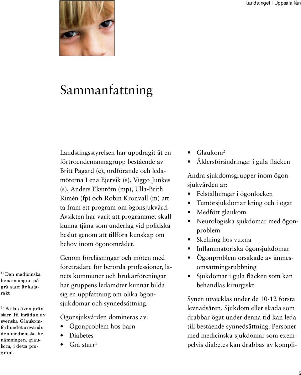 och Robin Kronvall (m) att ta fram ett program om ögonsjukvård.