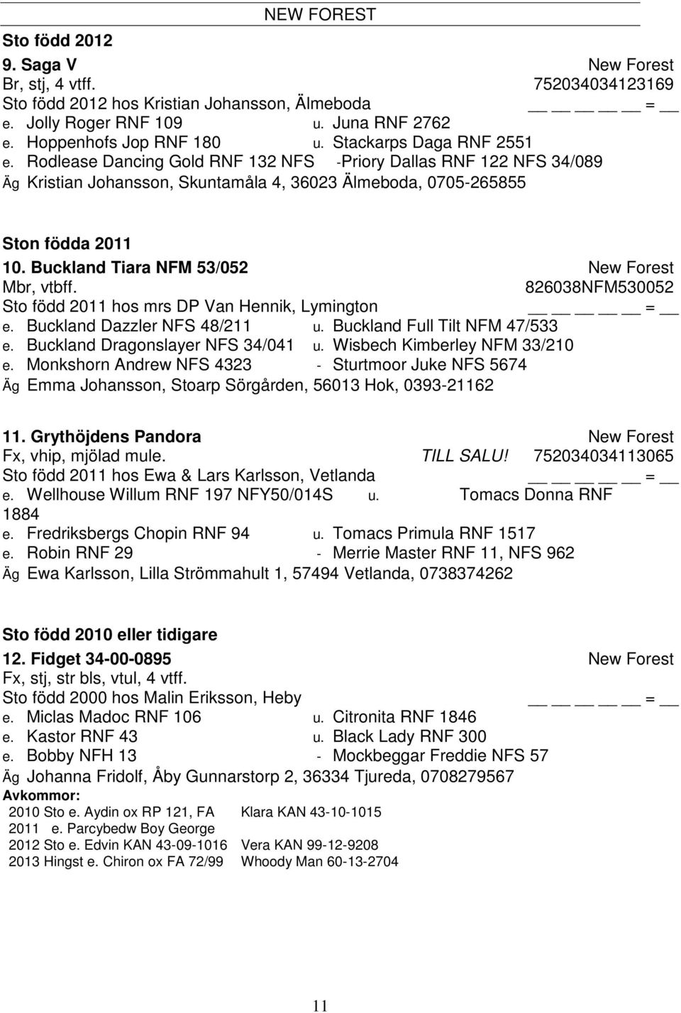 Buckland Tiara NFM 53/052 New Forest Mbr, vtbff. 826038NFM530052 Sto född 2011 hos mrs DP Van Hennik, Lymington e. Buckland Dazzler NFS 48/211 u. Buckland Full Tilt NFM 47/533 e.