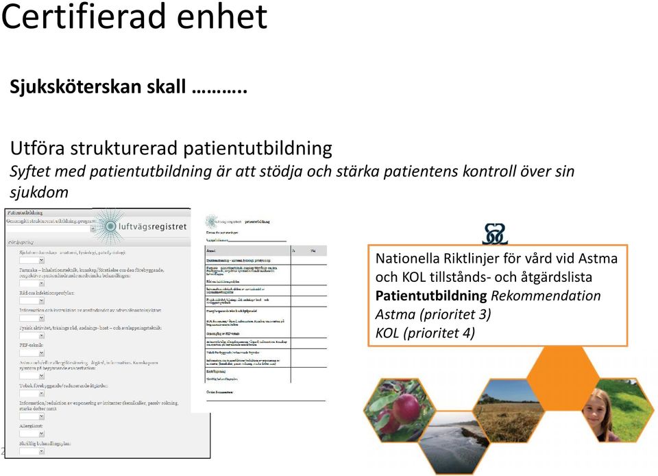 och stärka patientens kontroll över sin sjukdom Nationella Riktlinjer för vård vid