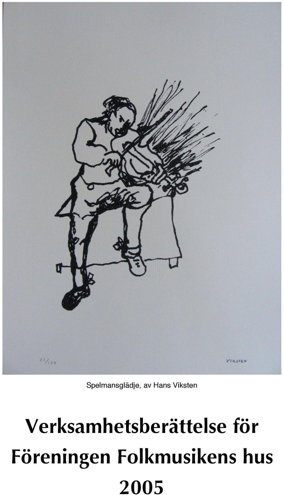 Verksamhetsberättelse