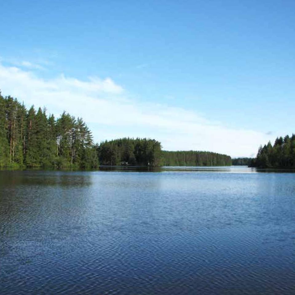 Modern och klassisk kokkonst, starka varumärken och ett gott utvecklingsklimat bidrar till