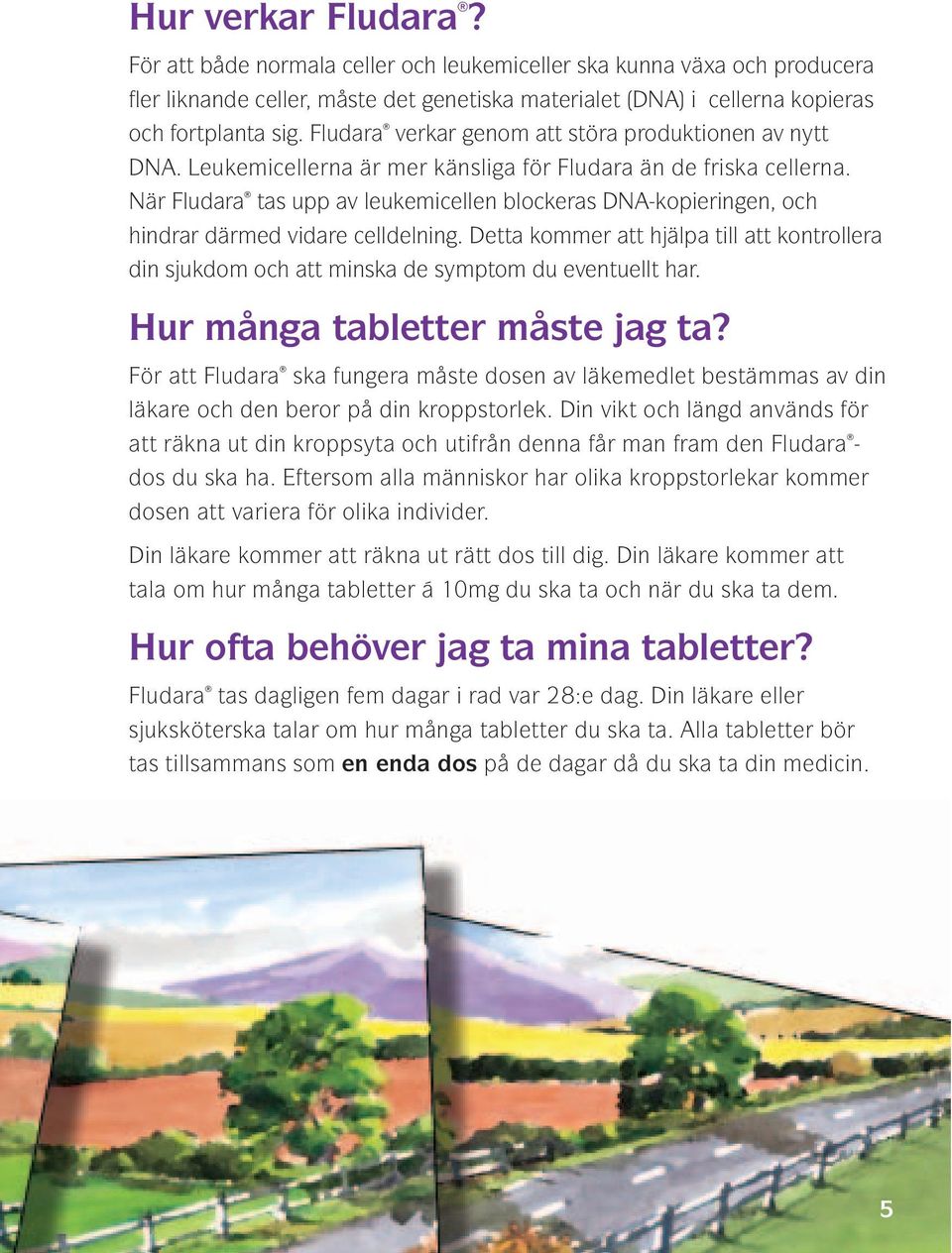 När Fludara tas upp av leukemicellen blockeras DNA-kopieringen, och hindrar därmed vidare celldelning.