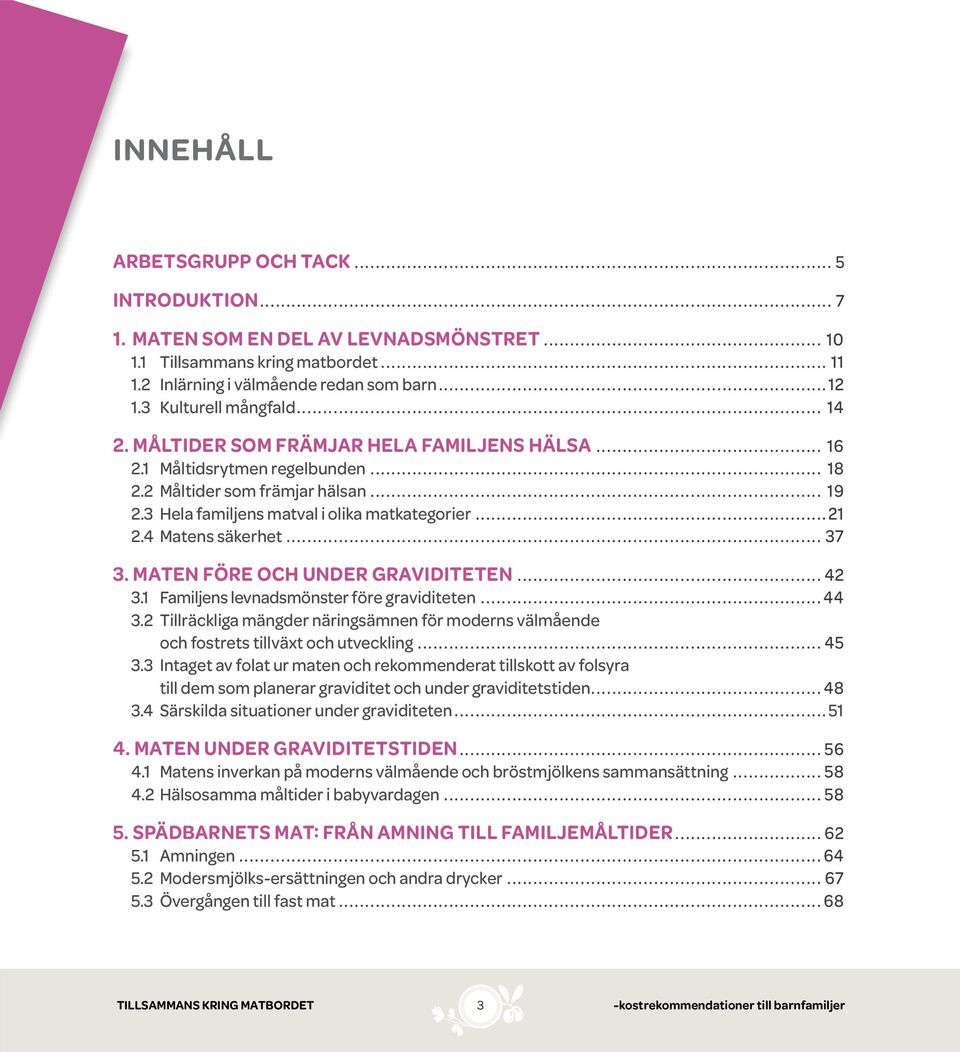 ..21 2.4 Matens säkerhet... 37 3. Maten före och under graviditeten... 42 3.1 Familjens levnadsmönster före graviditeten...44 3.