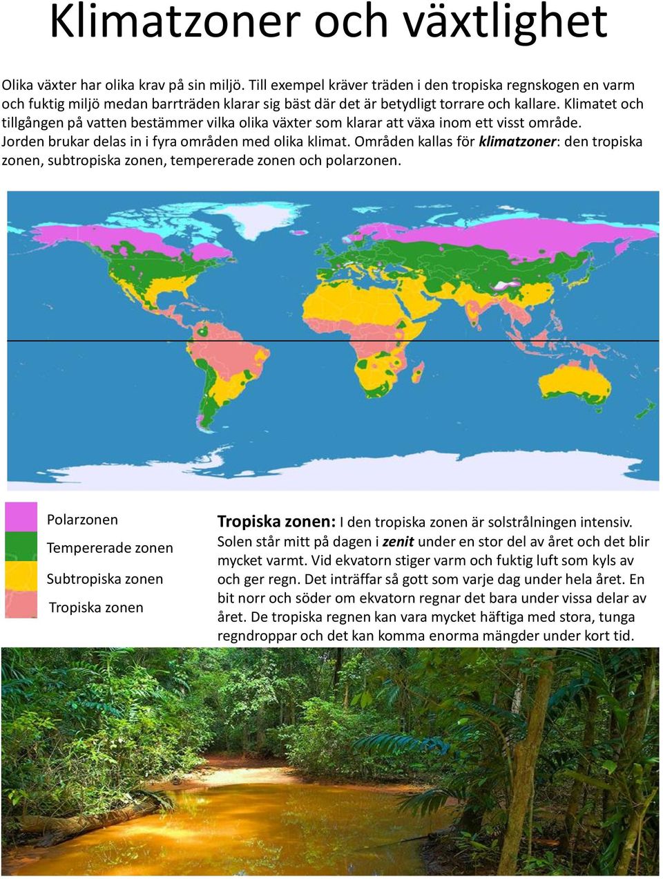 Klimatet och tillgången på vatten bestämmer vilka olika växter som klarar att växa inom ett visst område. Jorden brukar delas in i fyra områden med olika klimat.