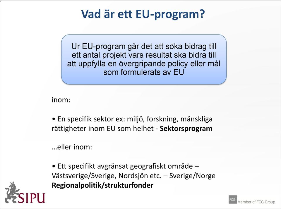 en övergripande policy eller mål som formulerats av EU inom: En specifik sektor ex: miljö, forskning,