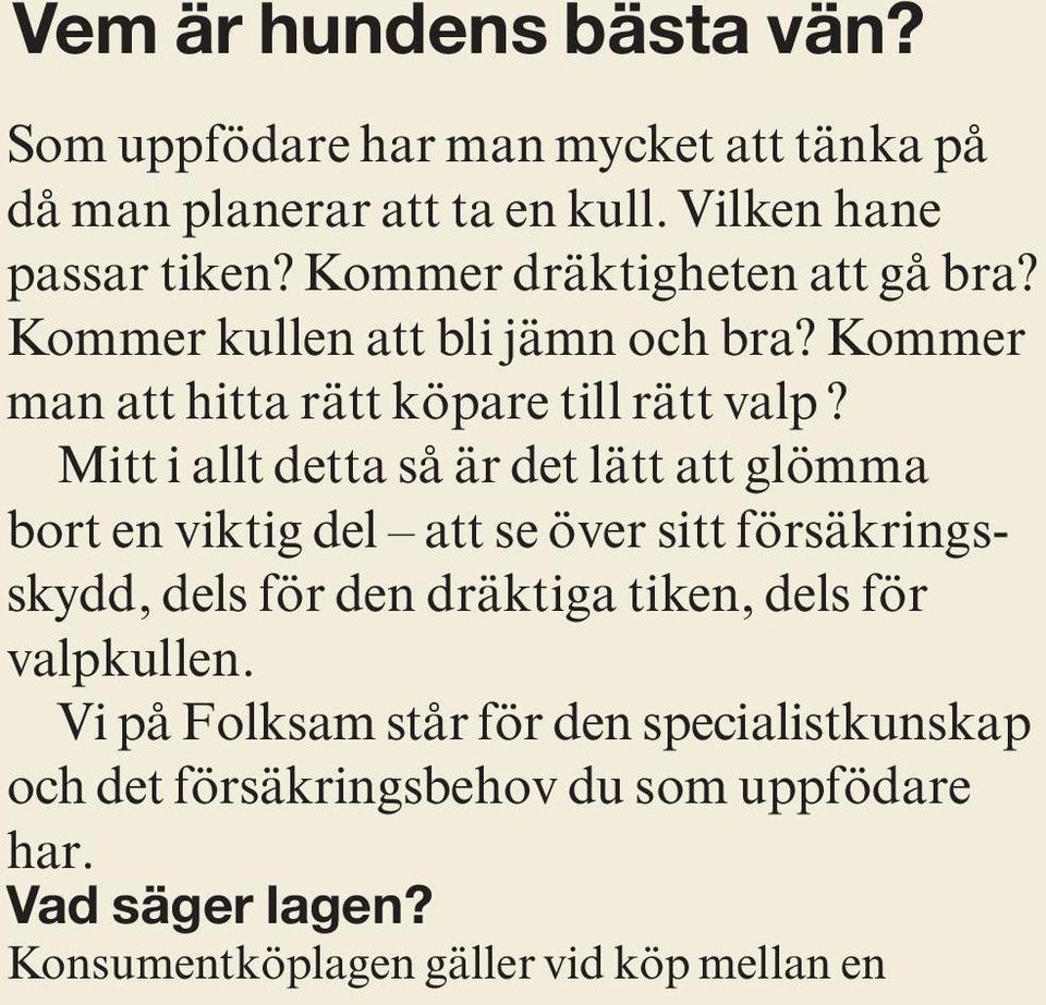 Mitt i allt detta så är det lätt att glömma bort en viktig del att se över sitt försäkringsskydd, dels för den dräktiga tiken, dels för