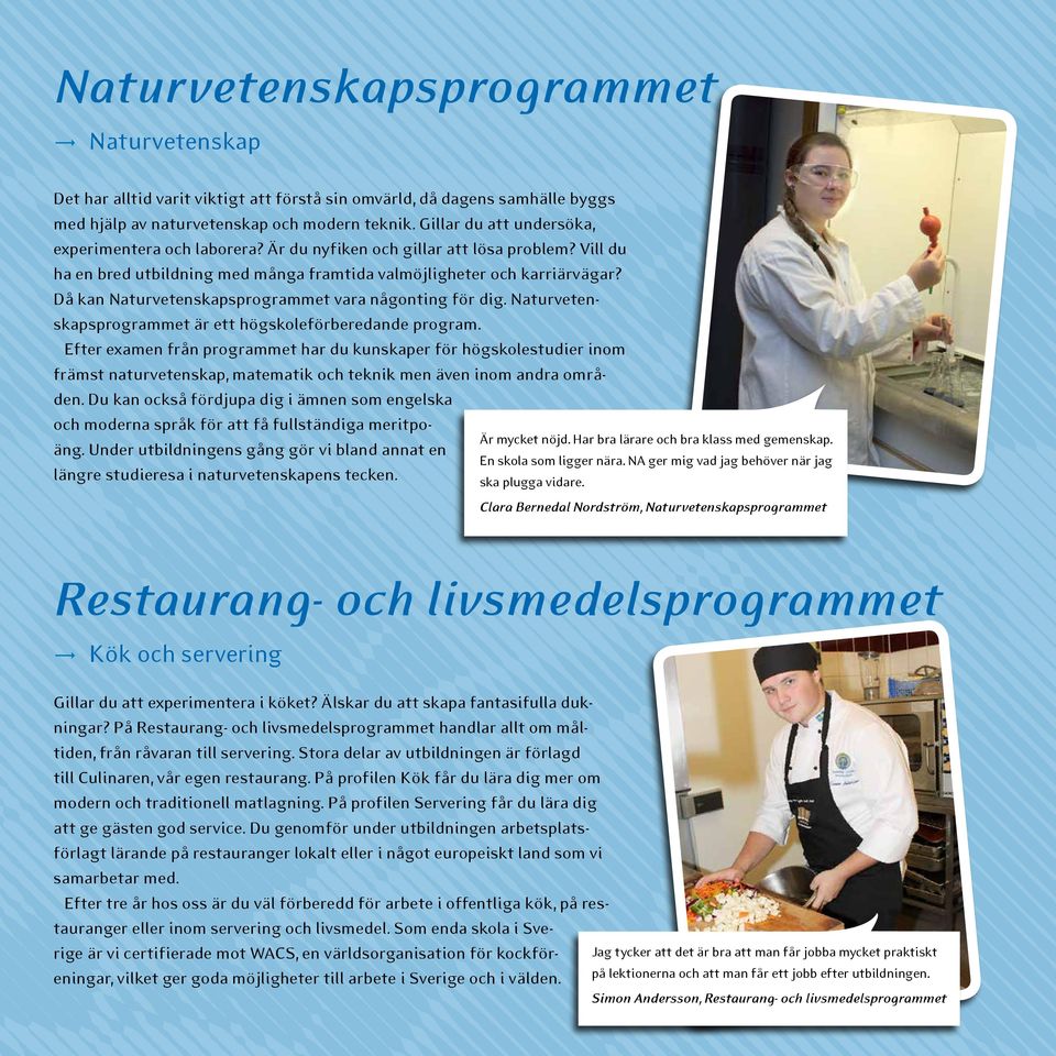 Då kan Naturvetenskapsprogrammet vara någonting för dig. Naturvetenskapsprogrammet är ett högskoleförberedande program.