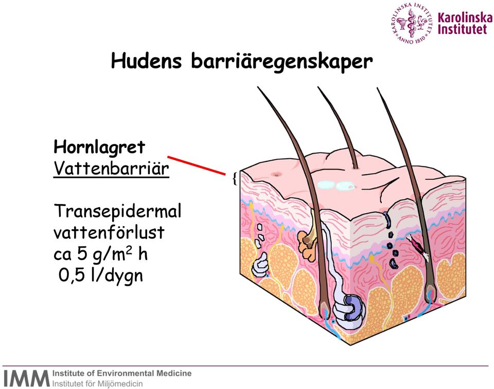 Transepidermal