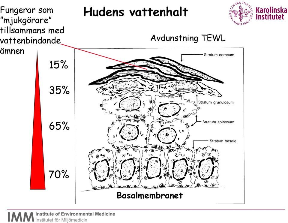 ämnen 15% Hudens vattenhalt