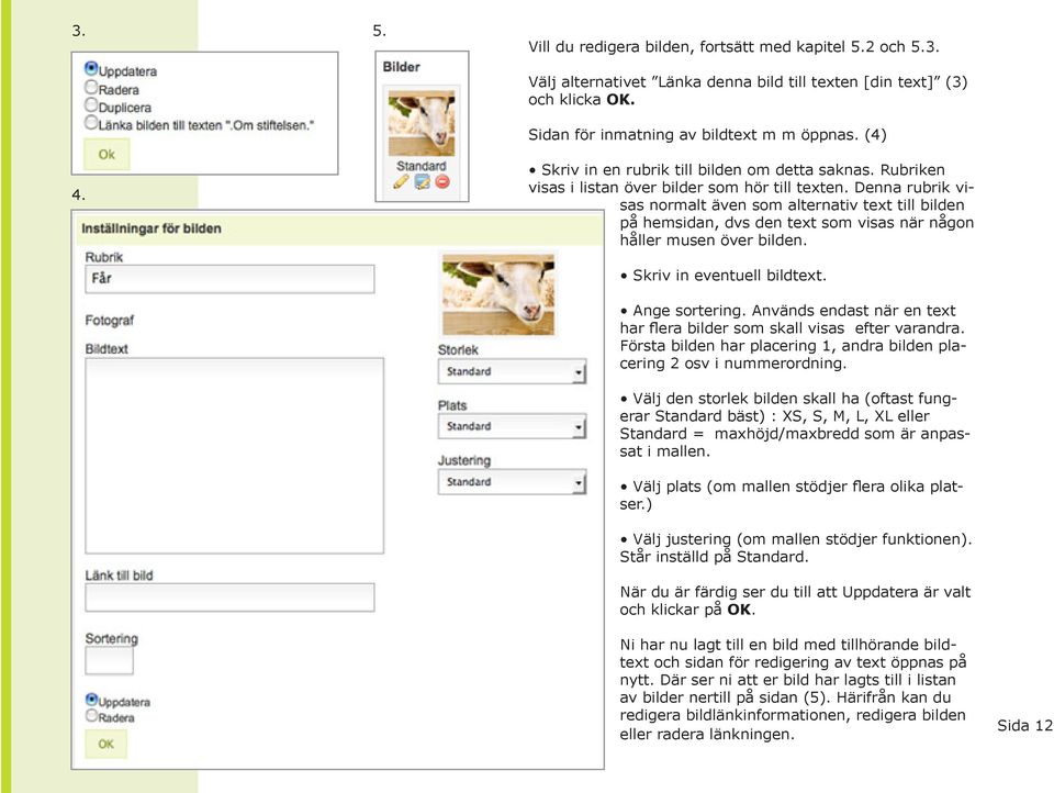 Denna rubrik visas normalt även som alternativ text till bilden på hemsidan, dvs den text som visas när någon håller musen över bilden. Skriv in eventuell bildtext. Ange sortering.