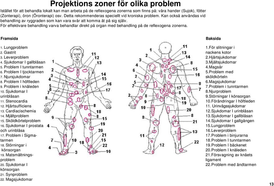 För effektivare behandling varva behandlar direkt på organ med behandling på de reflexogena zonerna. 17 Framsida Baksida 1. Lungproblem 1.För slitningar i 2. Gastrit nackens kotor 3. Leverproblem 2.