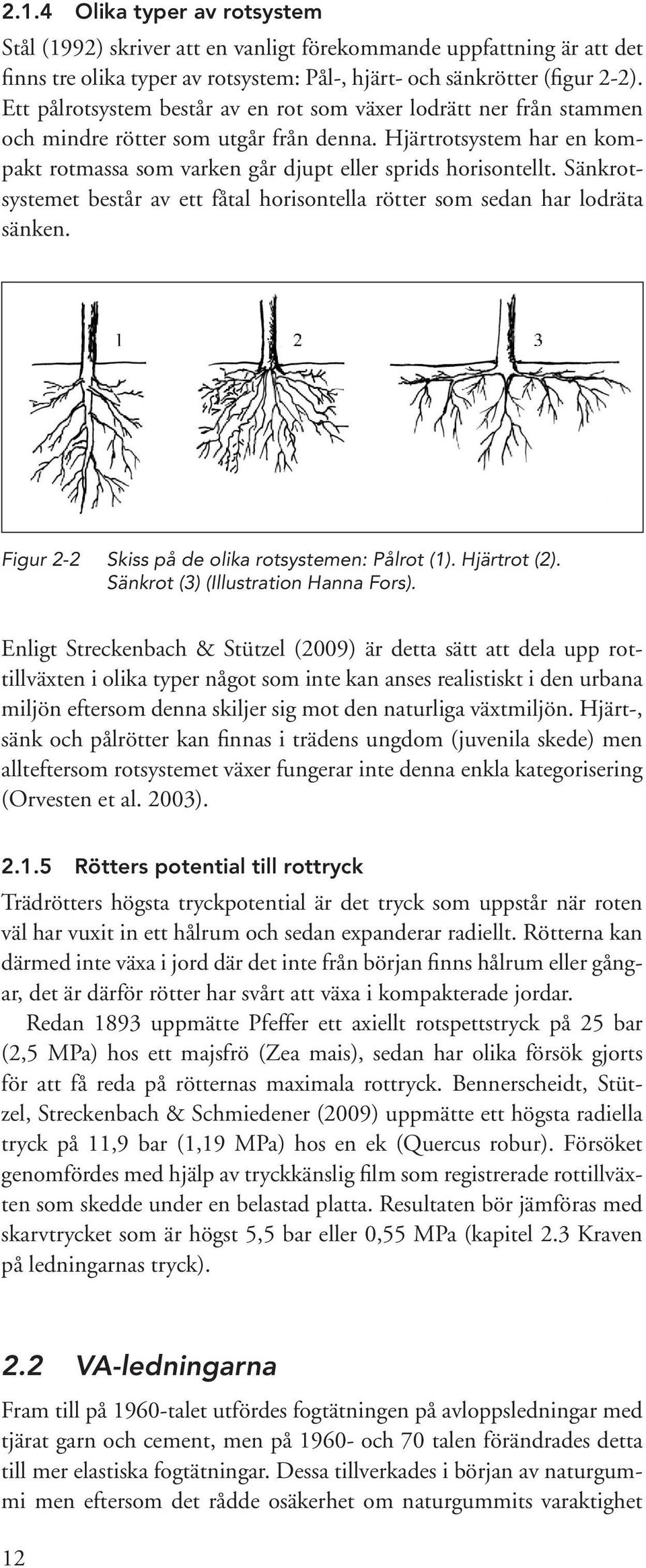 Sänkrotsystemet består av ett fåtal horisontella rötter som sedan har lodräta sänken. Figur 2-2 Skiss på de olika rotsystemen: Pålrot (1). Hjärtrot (2). Sänkrot (3) (Illustration Hanna Fors).