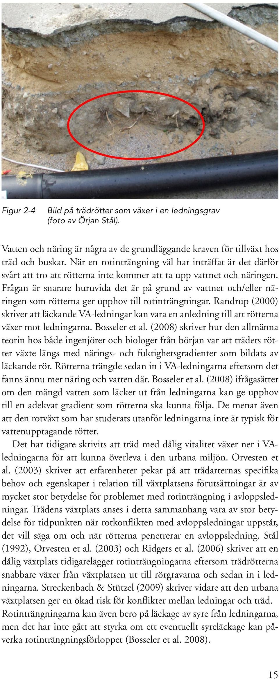 Frågan är snarare huruvida det är på grund av vattnet och/eller näringen som rötterna ger upphov till rotinträngningar.