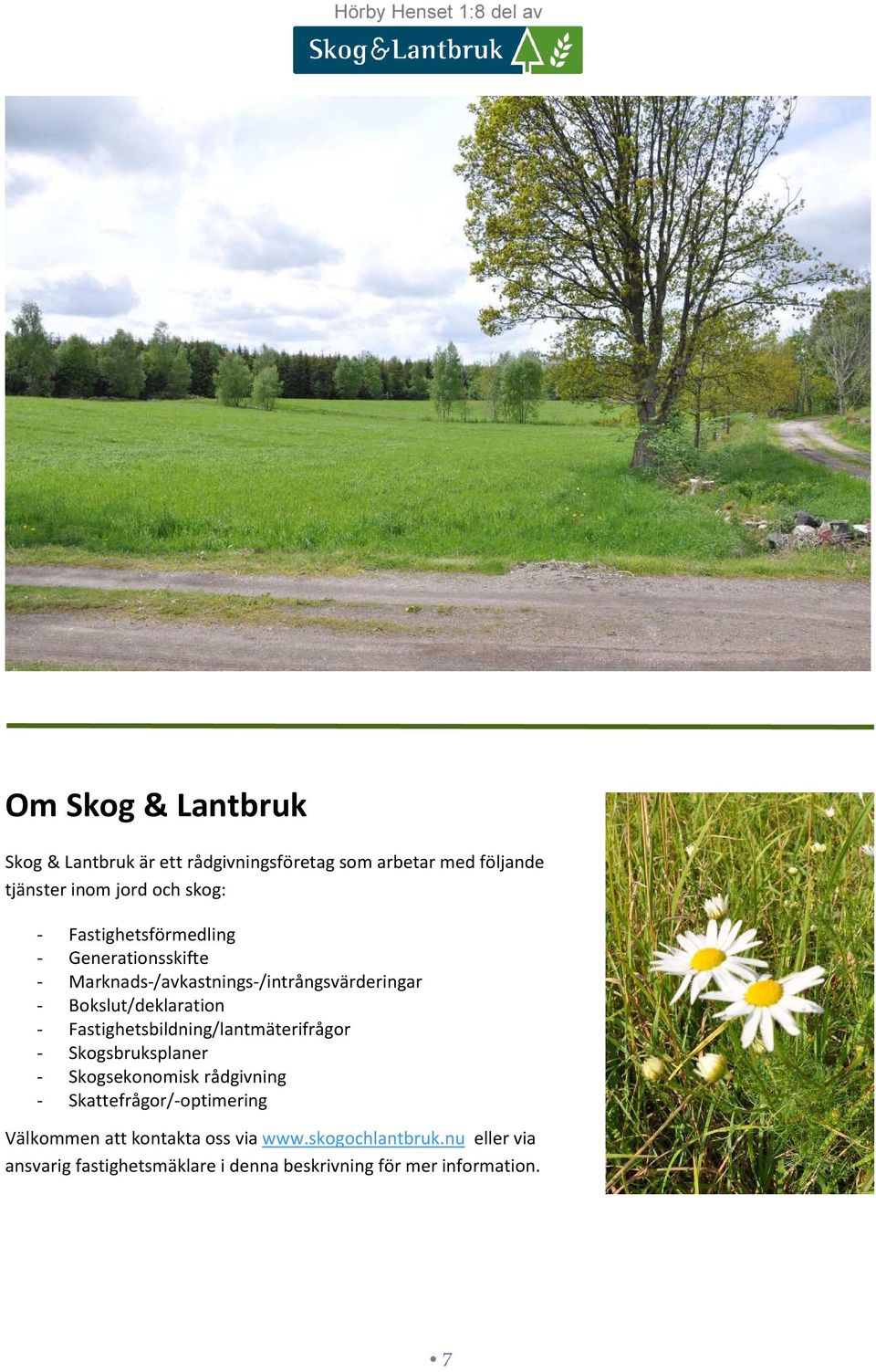 Fastighetsbildning/lantmäterifrågor - Skogsbruksplaner - Skogsekonomisk rådgivning - Skattefrågor/-optimering