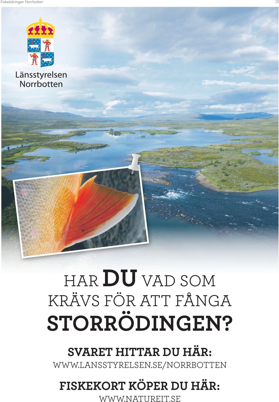 SVARET HITTAR DU HÄR: WWW.
