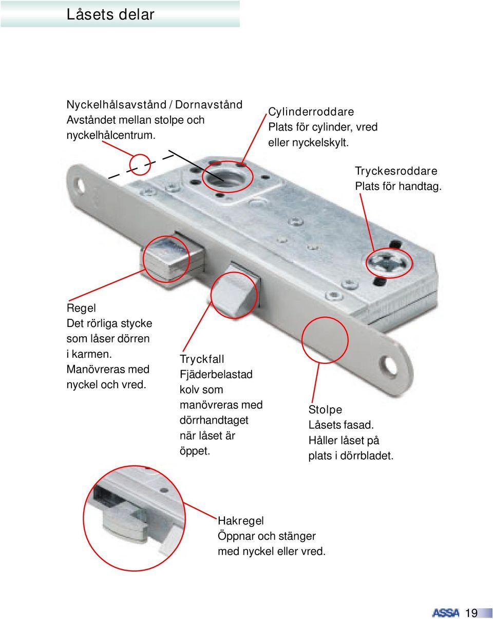 Regel Det rörliga stycke som låser dörren i karmen. Manövreras med nyckel och vred.