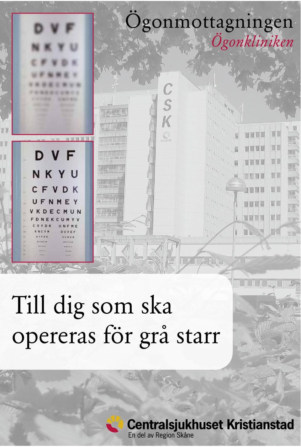 dig som ska