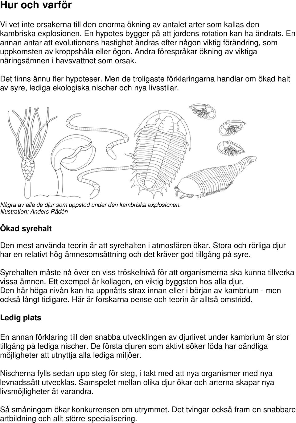 Det finns ännu fler hypoteser. Men de troligaste förklaringarna handlar om ökad halt av syre, lediga ekologiska nischer och nya livsstilar.