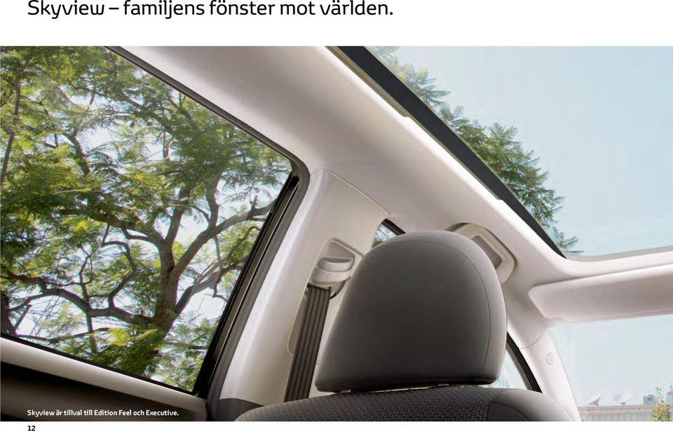Skyview är tillval till