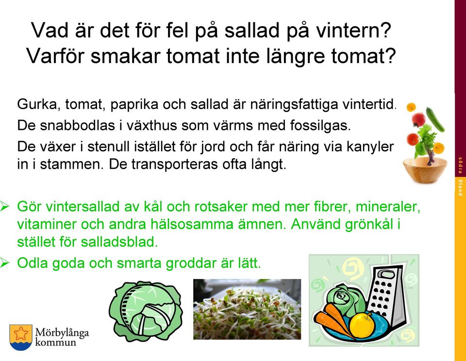 De växer i stenull istället för jord och får näring via kanyler in i stammen. De transporteras ofta långt.