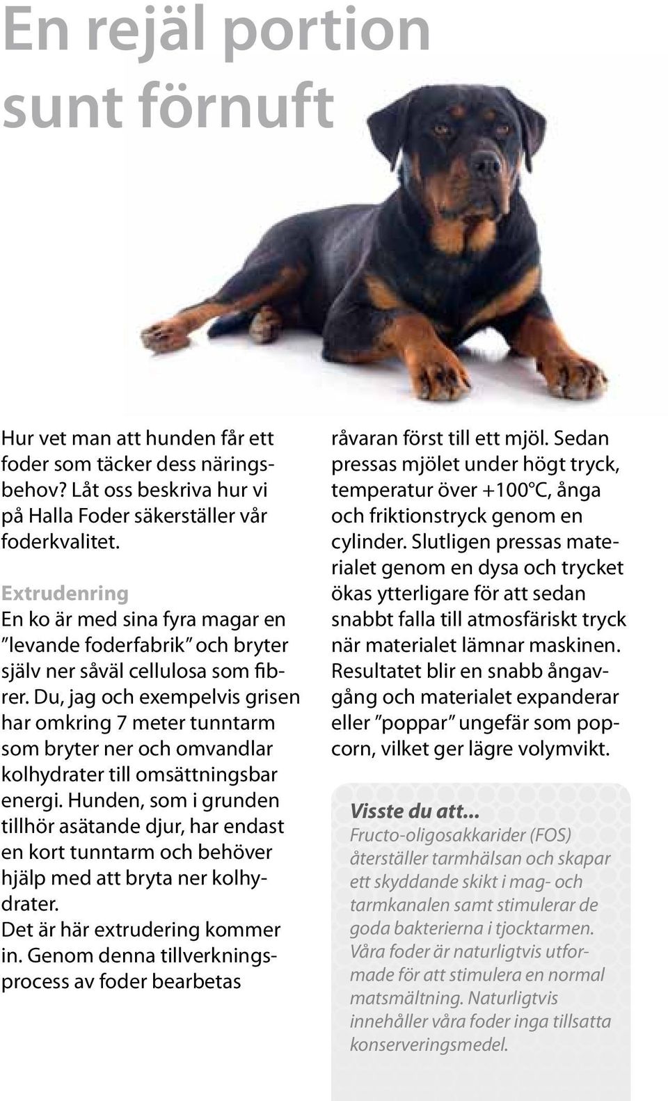 Du, jag och exempelvis grisen har omkring 7 meter tunntarm som bryter ner och omvandlar kolhydrater till omsättningsbar energi.