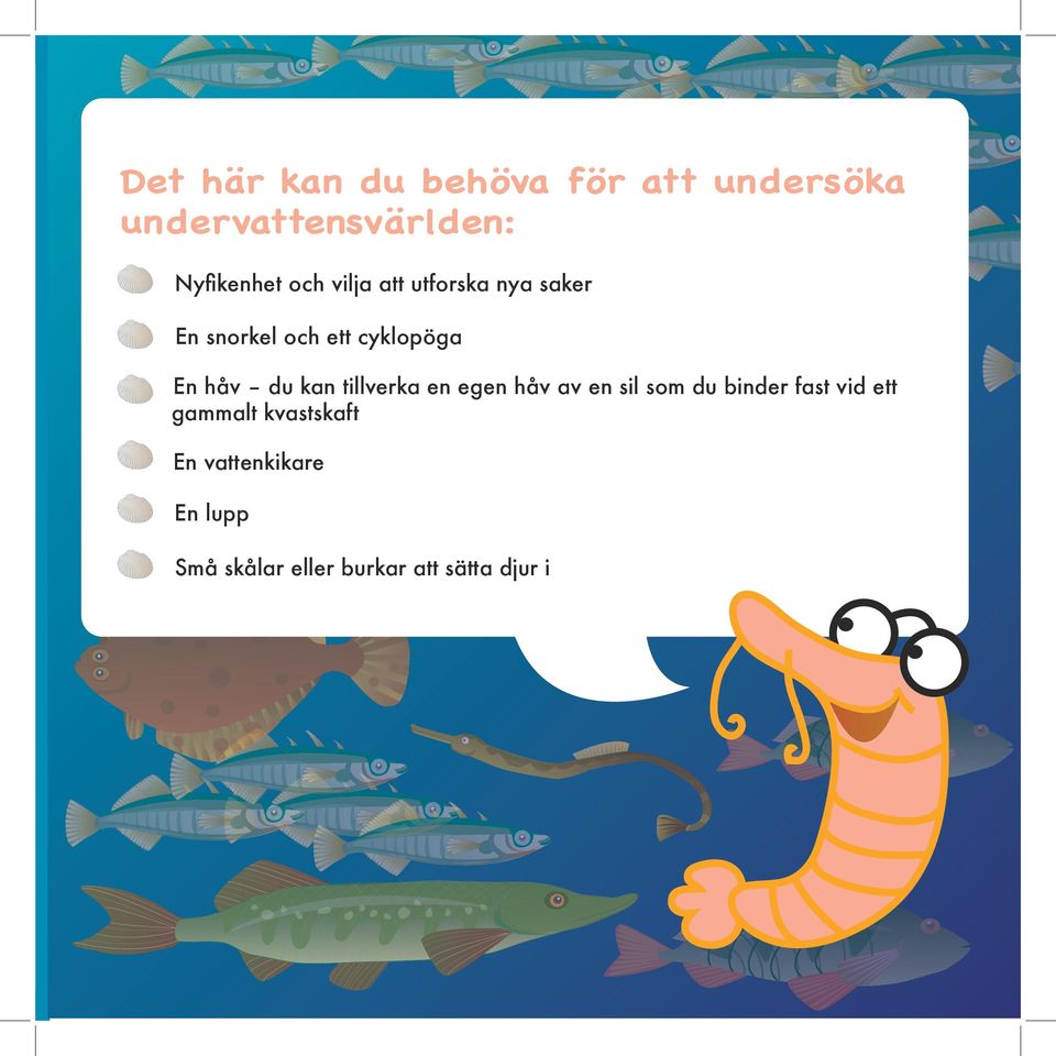 kan tillverka en egen håv av en sil som du binder fast vid ett gammalt
