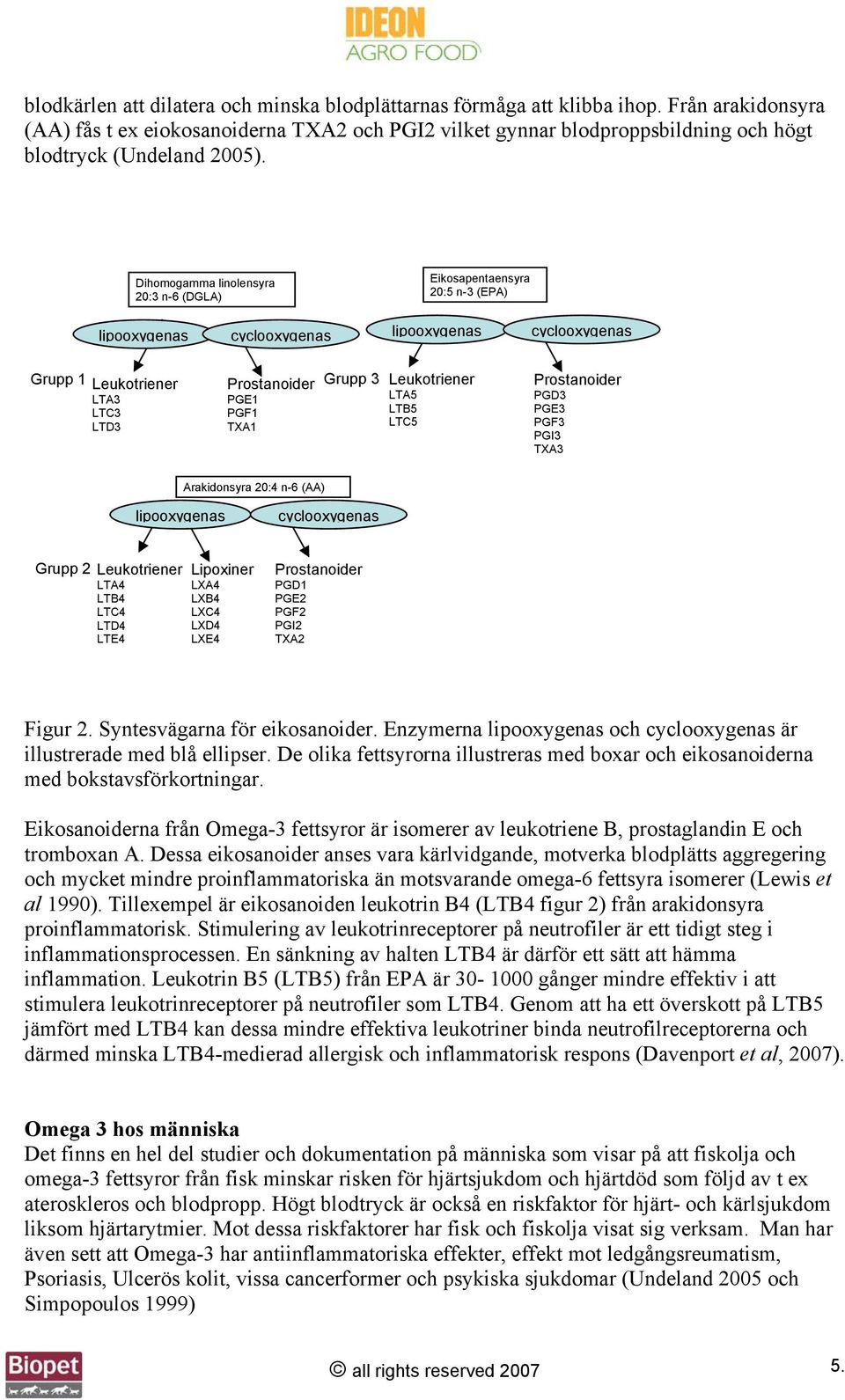 Dihomogamma linolensyra 20:3 n-6 (DGLA) Eikosapentaensyra 20:5 n-3 (EPA) lipooxygenas cyclooxygenas lipooxygenas cyclooxygenas Grupp 1 Grupp 3 Leukotriener LTA3 LTC3 LTD3 Prostanoider PGE1 PGF1 TXA1