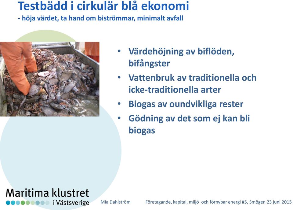 bifångster Vattenbruk av traditionella och icke-traditionella