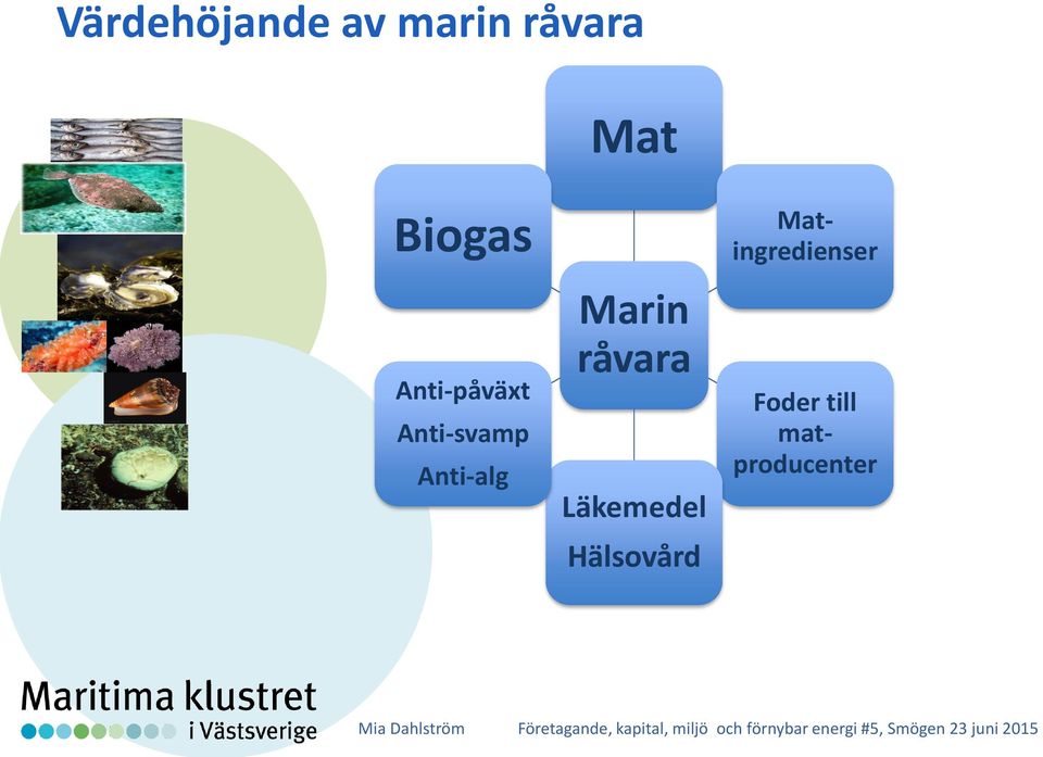 Anti-alg Marin råvara Läkemedel