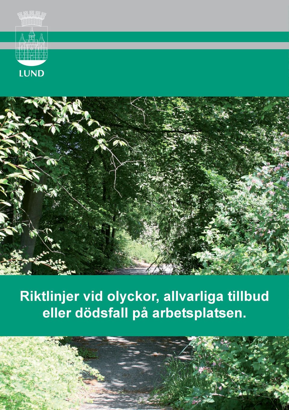 allvarliga tillbud