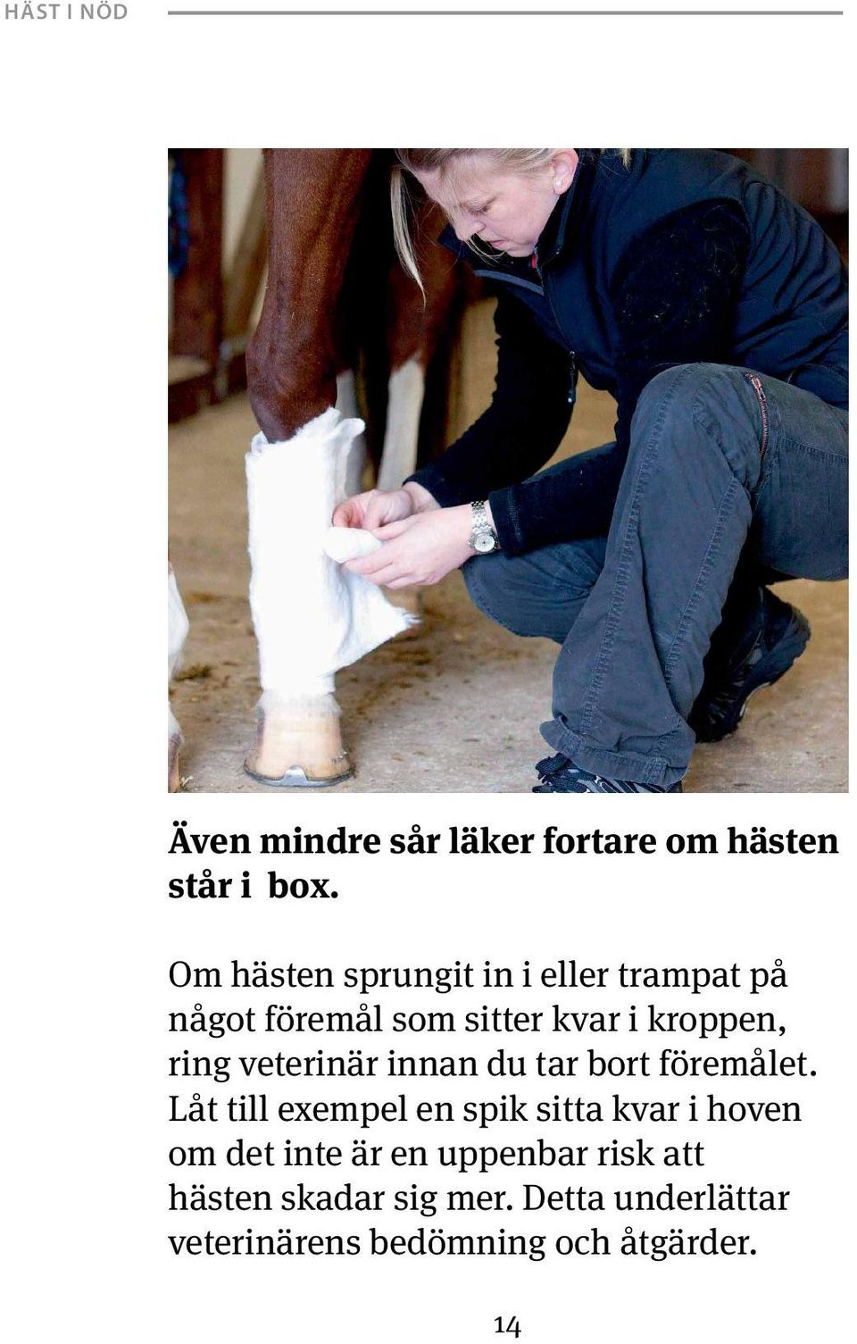 ring veterinär innan du tar bort föremålet.