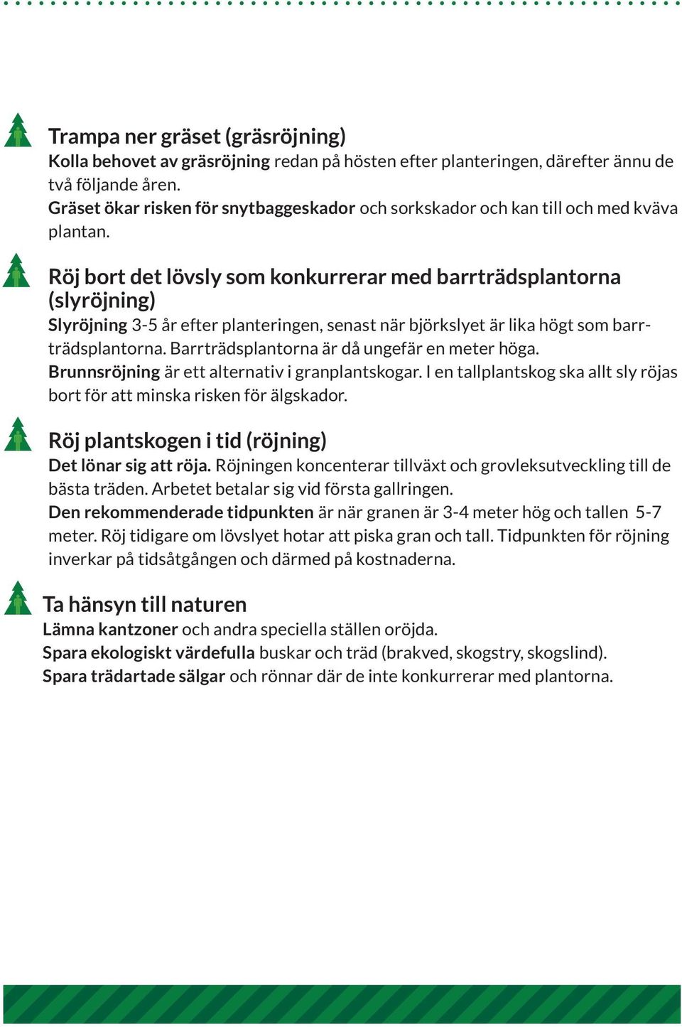 Röj bort det lövsly som konkurrerar med barrträdsplantorna (slyröjning) Slyröjning 3-5 år efter planteringen, senast när björkslyet är lika högt som barrträdsplantorna.