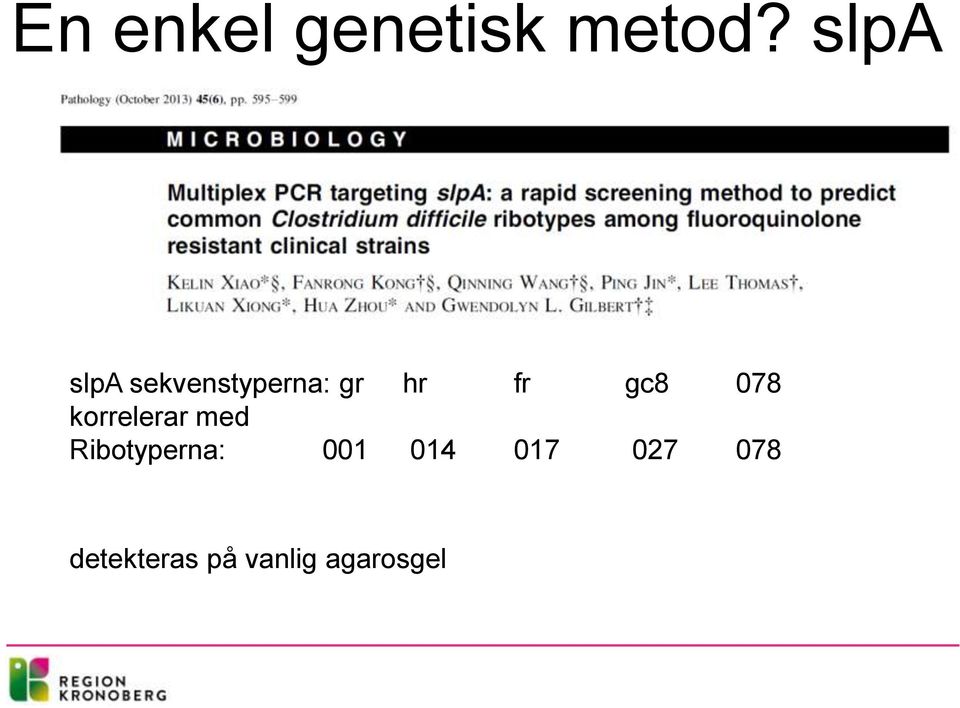 gc8 078 korrelerar med Ribotyperna: