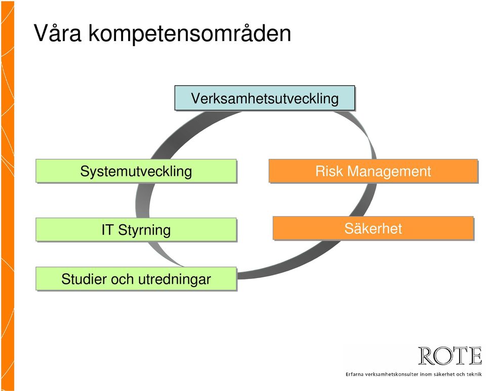 Systemutveckling Risk