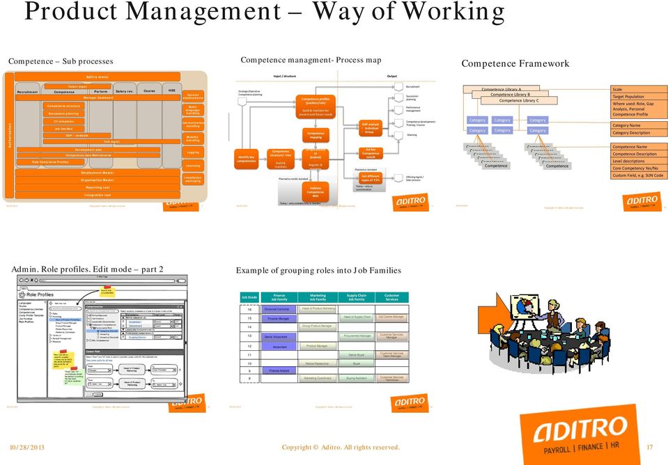 HSE Several employments Multilanguage handling Communication handling Mobility handling Logging Licensing Installation packaging Strategic/Operative planning Identify key competencies profiles