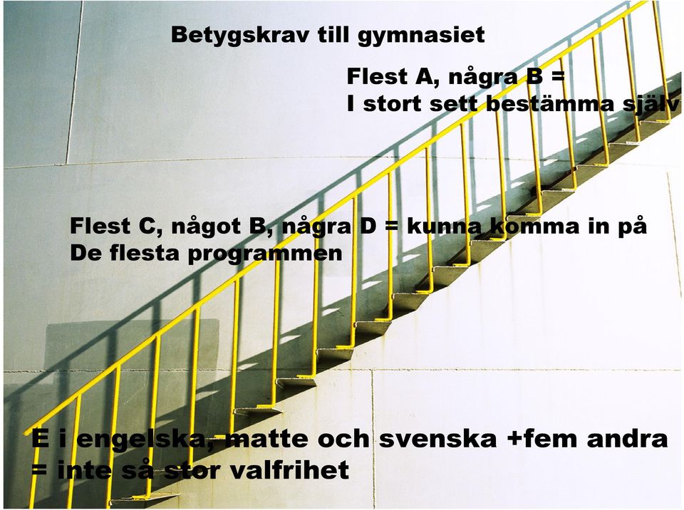 = kunna komma in på De flesta programmen E i