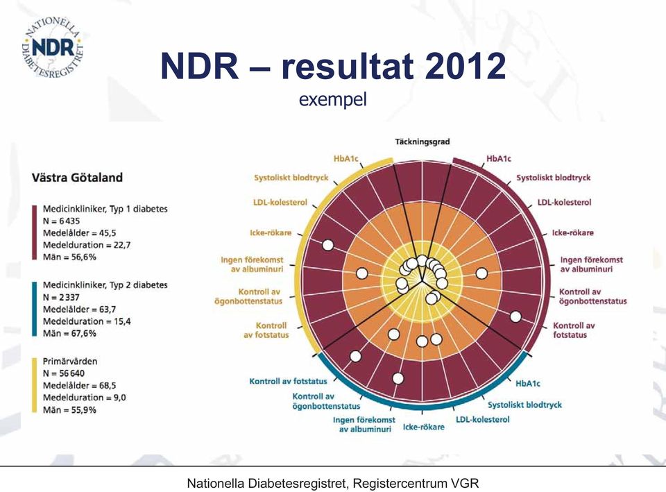 Diabetesregistret,