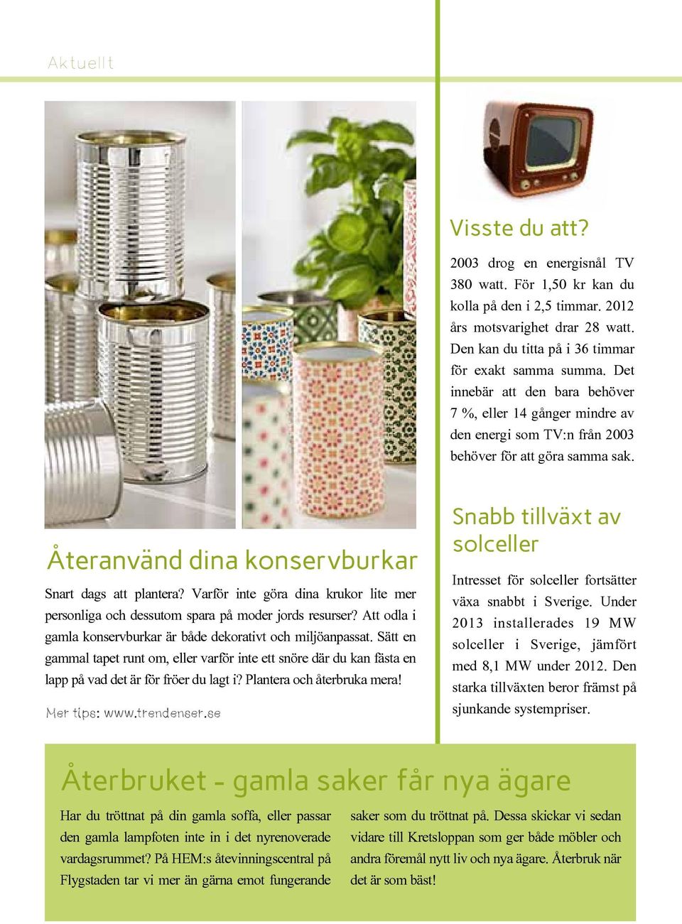 Varför inte göra dina krukor lite mer personliga och dessutom spara på moder jords resurser? Att odla i gamla konservburkar är både dekorativt och miljöanpassat.