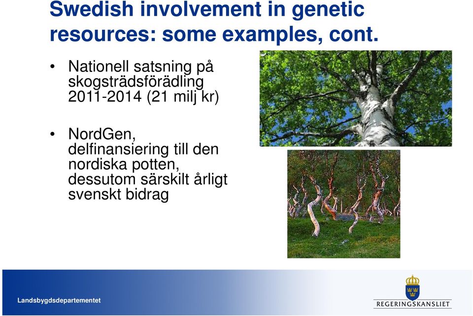 Nationell satsning på skogsträdsförädling 2011-2014