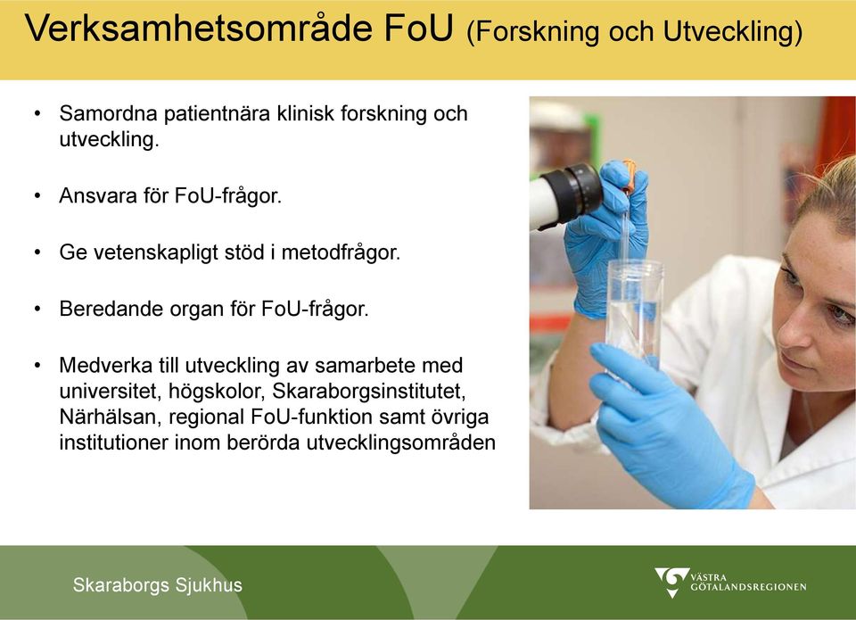 Beredande organ för FoU-frågor.