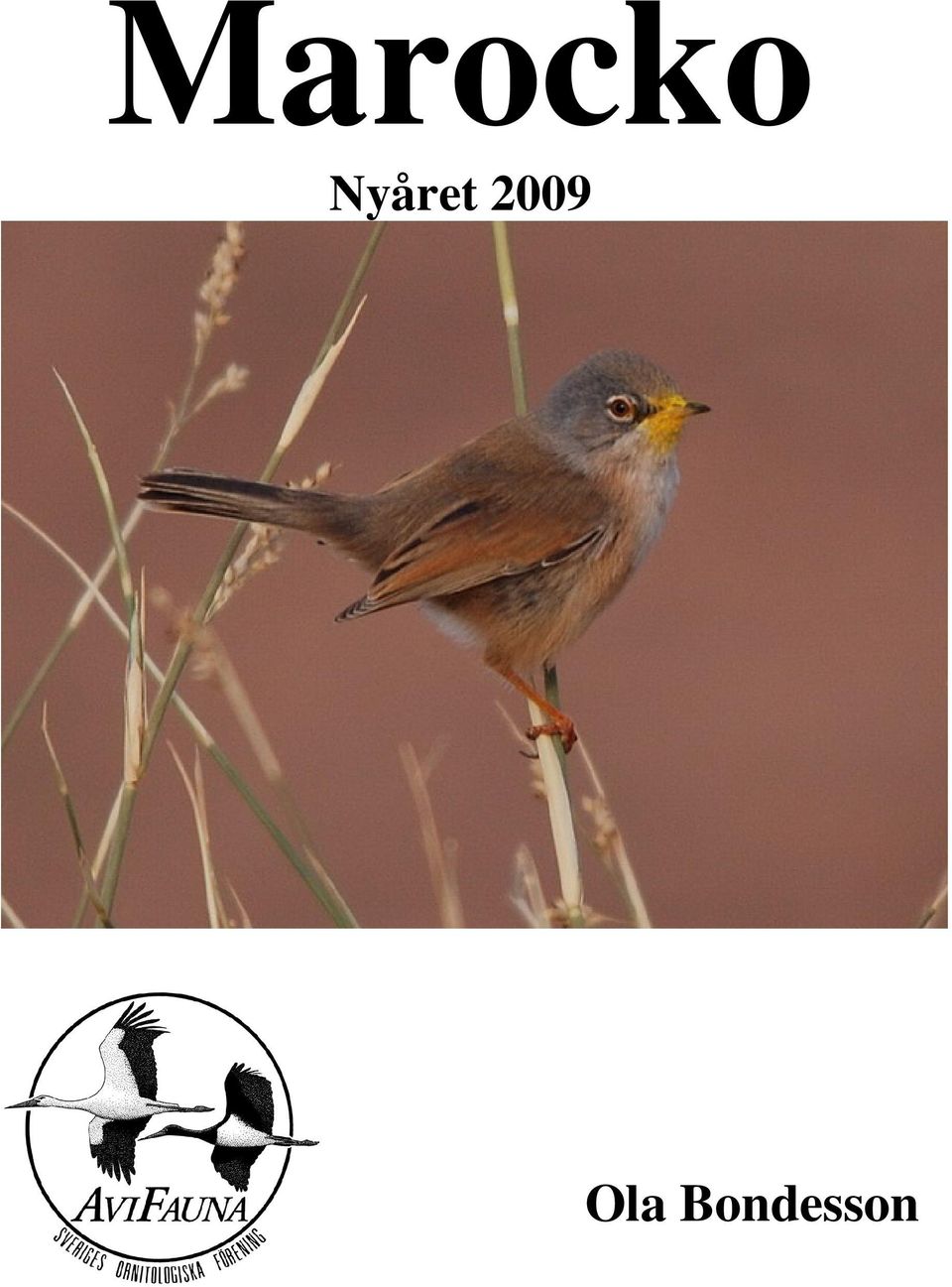 2009 Ola