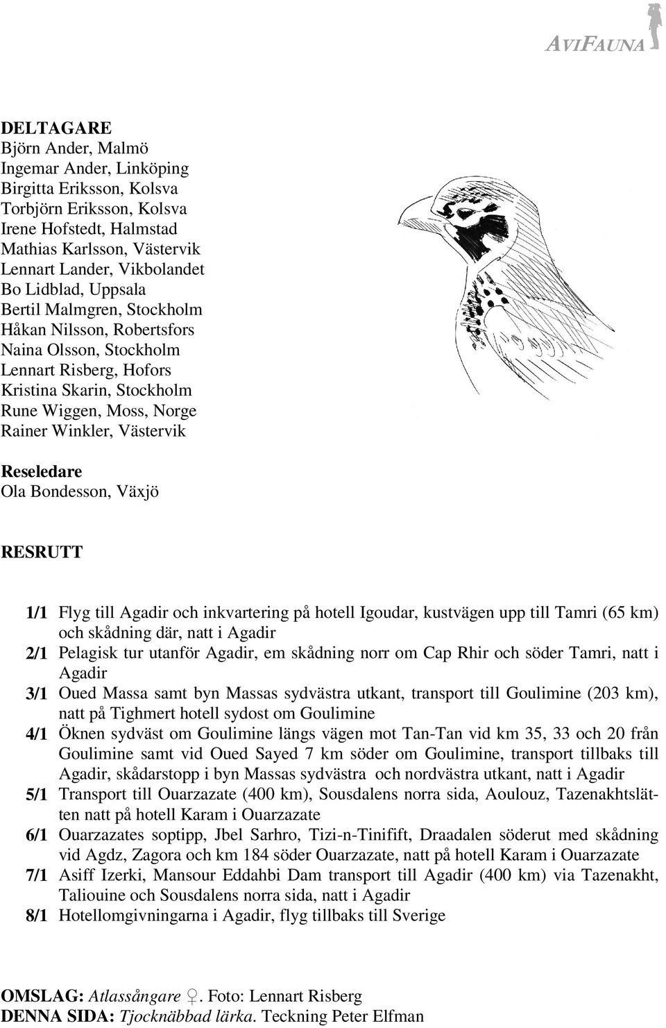 Ola Bondesson, Växjö RESRUTT 1/1 Flyg till Agadir och inkvartering på hotell Igoudar, kustvägen upp till Tamri (65 km) och skådning där, natt i Agadir 2/1 Pelagisk tur utanför Agadir, em skådning