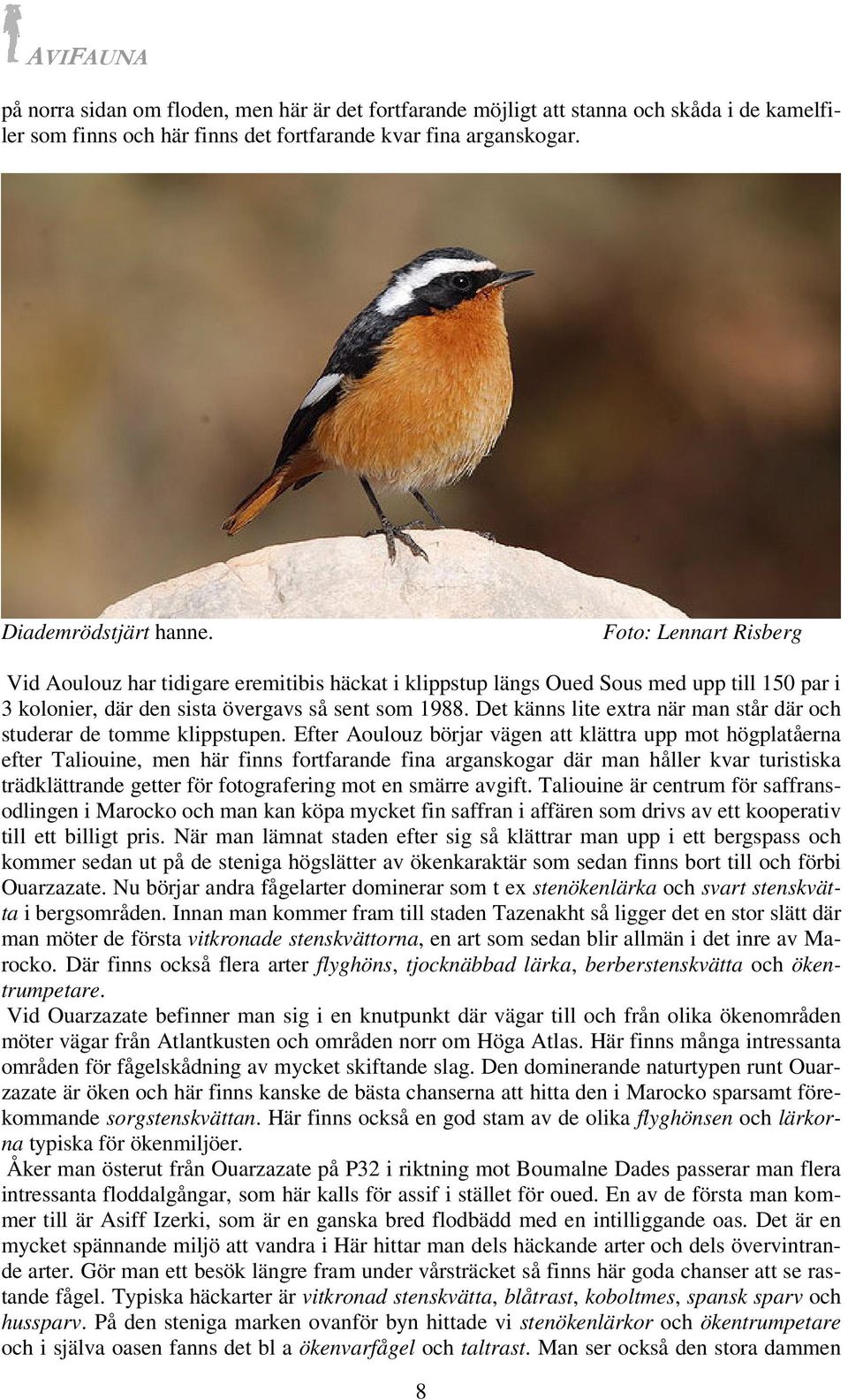 Det känns lite extra när man står där och studerar de tomme klippstupen.