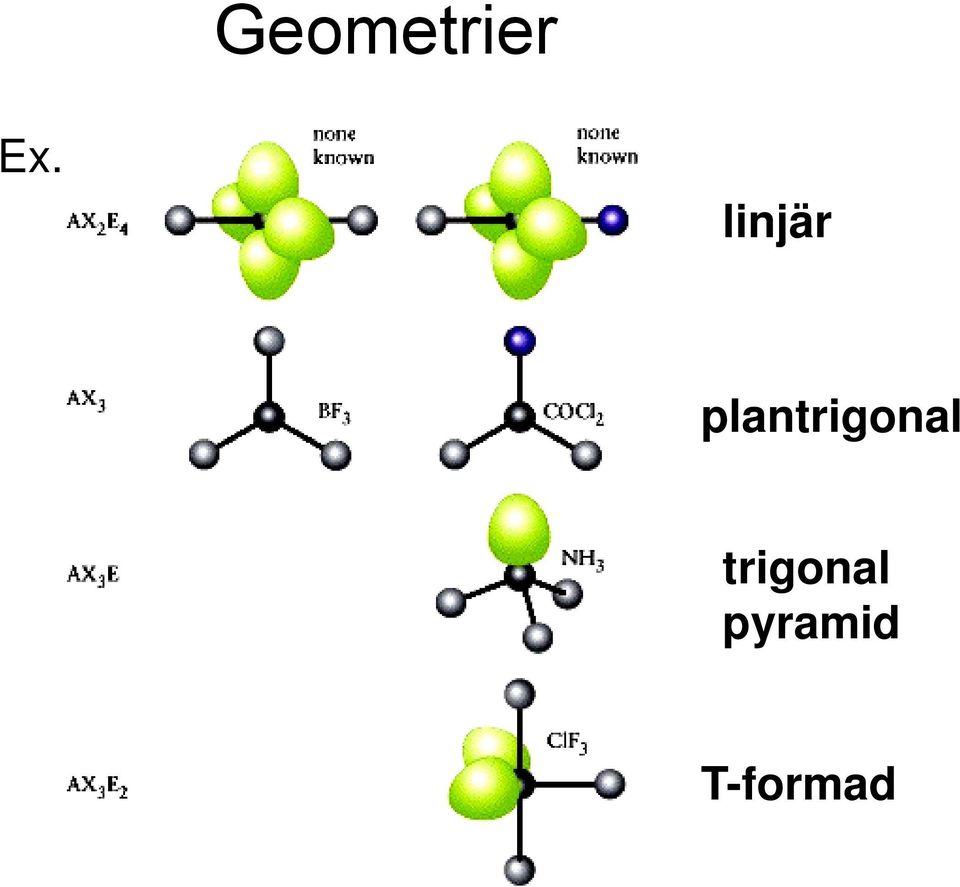 plantrigonal