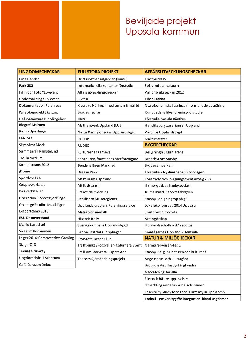 ekonomiska lösningar inom landsbygdsnäring Karaokeprojekt Skyttorp Bygdecheckar Rundvedens fiberförening/förstudie Hälsosammare Björklingebor LINN Förstudie Sociala Växthus Biograf Malmen Mathantverk